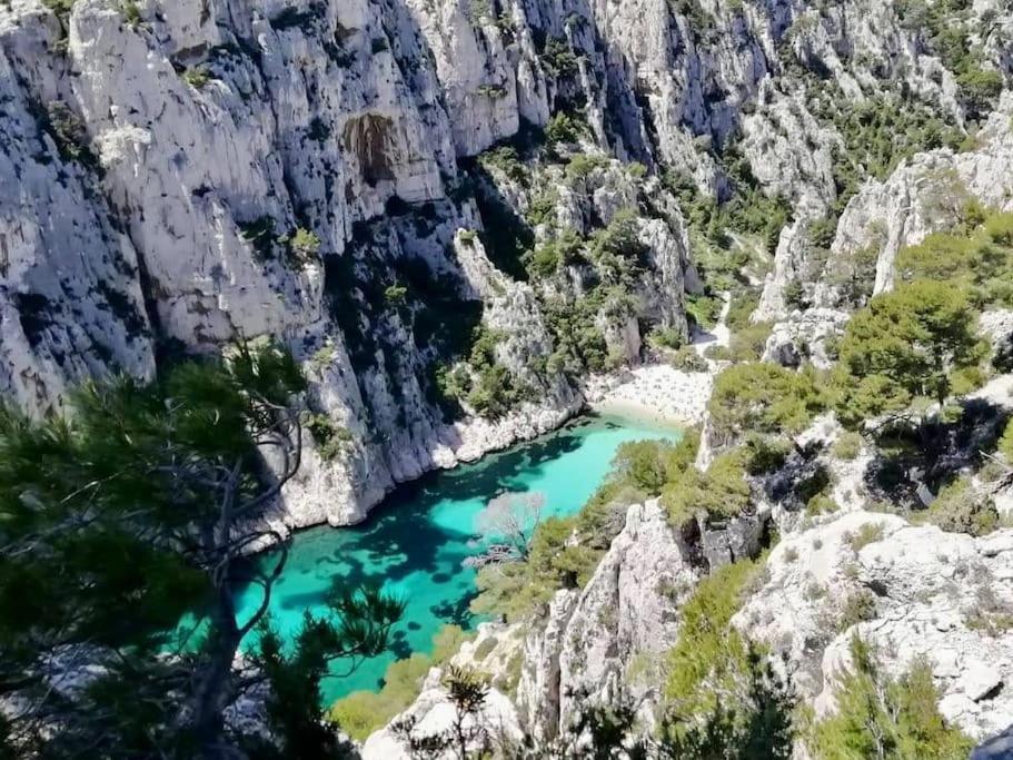 Studio Calanques Pres Du Vieux Port Marseille Eksteriør billede